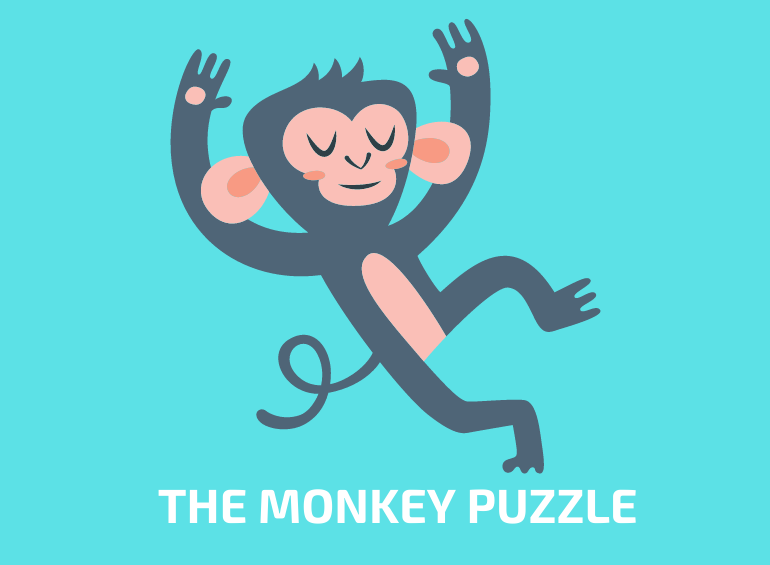 The Monkey puzzle by Julia Donaldson