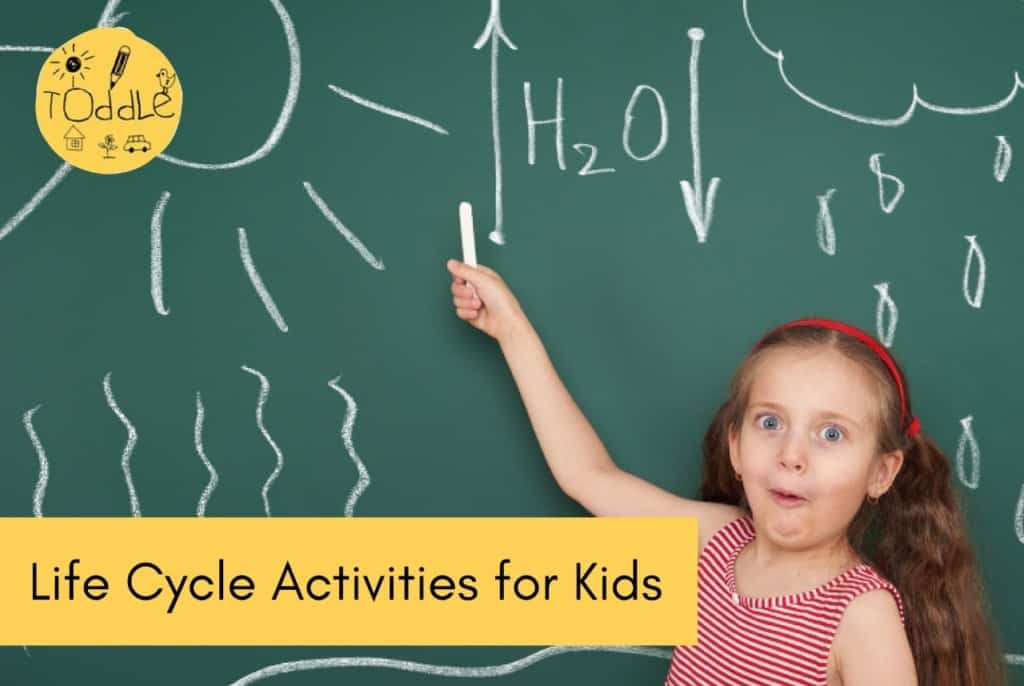 A Parents Guide to Life Cycles and Life Cycle Activities for Kids