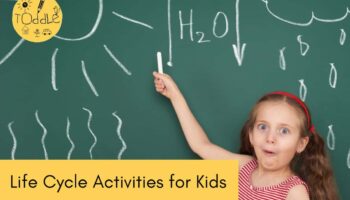 14-Life-Cycle-activities-of-kids