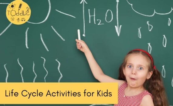 14-Life-Cycle-activities-of-kids